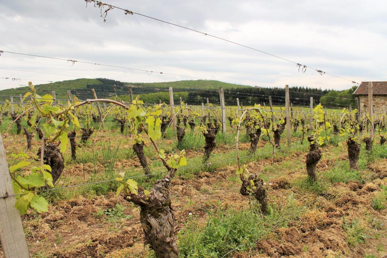 Domaine Joseph Lafarge Wine Resort Winemaker House La Maison Du Negociant Lugny Екстериор снимка